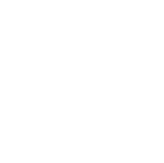 1st_vector_icon